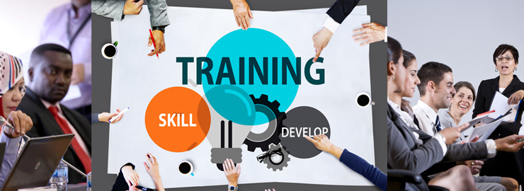 Business Sales Course