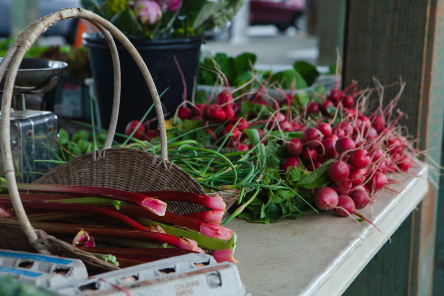 Farmers Market Port Alberni