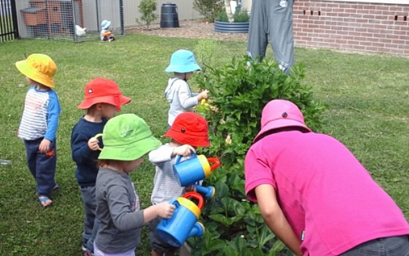 childcare Kingscliff